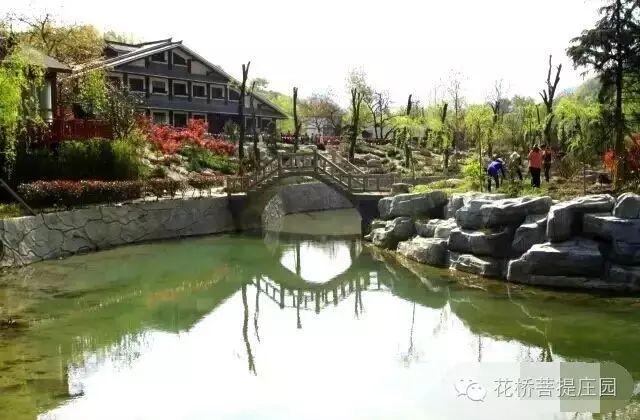 這個(gè)周末，隴南康縣花橋有大事要發(fā)生？