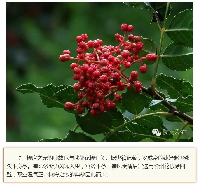 蘭渝鐵路最早由孫中山先生提出？在隴南，你不知道的事兒還有……