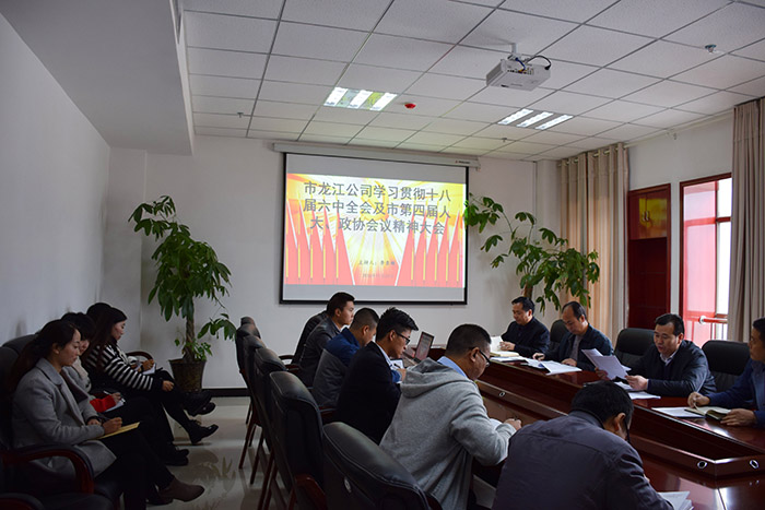 市龍江公司召開全體員工大會，專題傳達(dá)學(xué)習(xí)上級會議精神