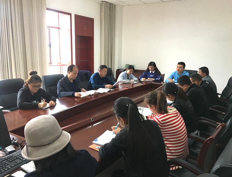 市龍江城鄉(xiāng)發(fā)展集團(tuán)專題學(xué)習(xí)近期中央、省、市紀(jì)律檢查委員會(huì)議精神